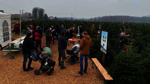 Familien beim Weihnachtsbaum-Aussuchen in der Schonung auf dem Hof Püning