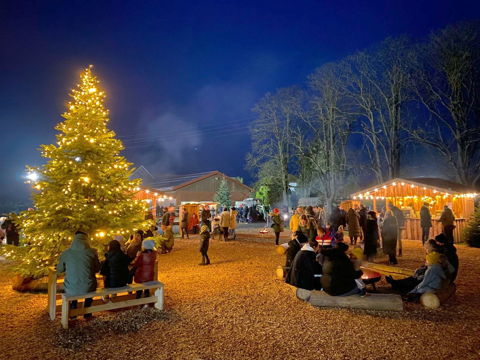 Adventswiese am Abend mit beleuchtetem Weihnachtsbaum auf dem Hof Püning